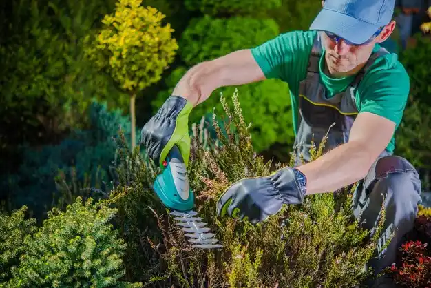 landscaping services Cold Spring